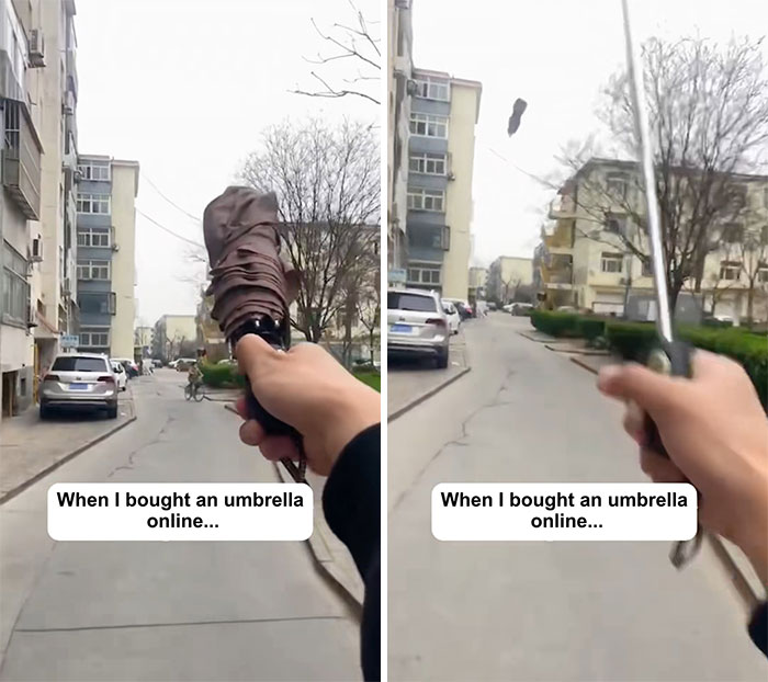 49 Times People Ordered Something From Temu And Learned A Hilarious Lesson 49 Times People Ordered Something From Temu And Learned A Hilarious Lesson