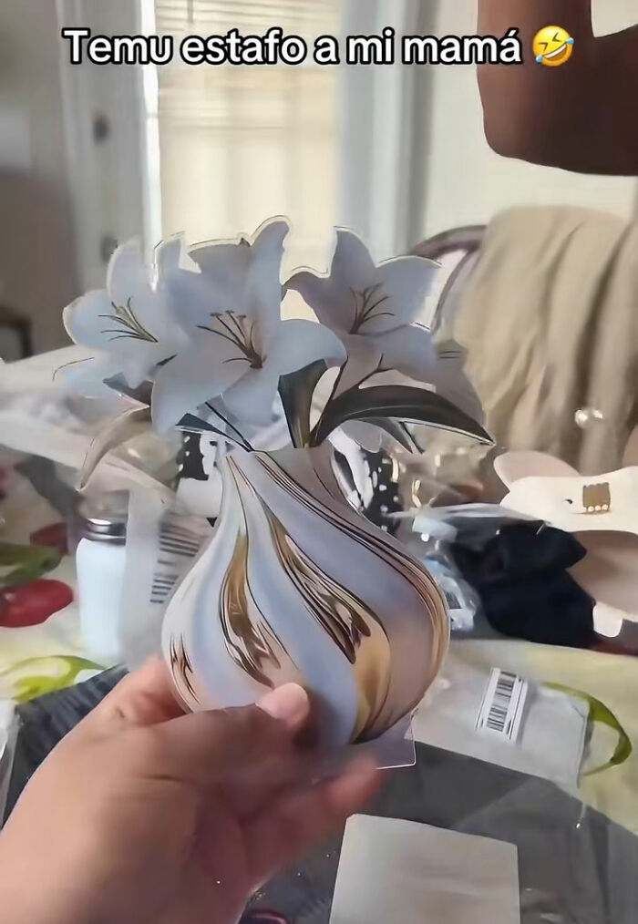 49 Times People Ordered Something From Temu And Learned A Hilarious Lesson 49 Times People Ordered Something From Temu And Learned A Hilarious Lesson