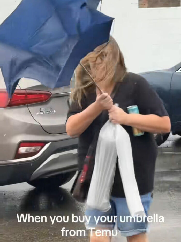 49 Times People Ordered Something From Temu And Learned A Hilarious Lesson 49 Times People Ordered Something From Temu And Learned A Hilarious Lesson