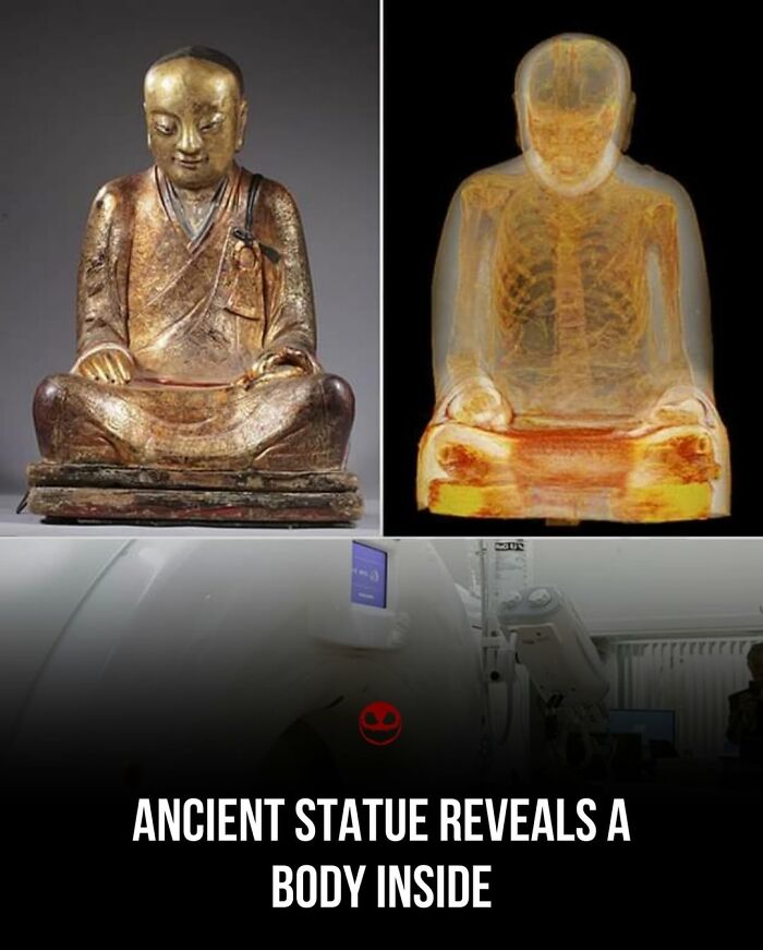 43 Weird And Odd Facts And Photos To Give Your Brain Something To Think About 43 Weird And Odd Facts And Photos To Give Your Brain Something To Think About