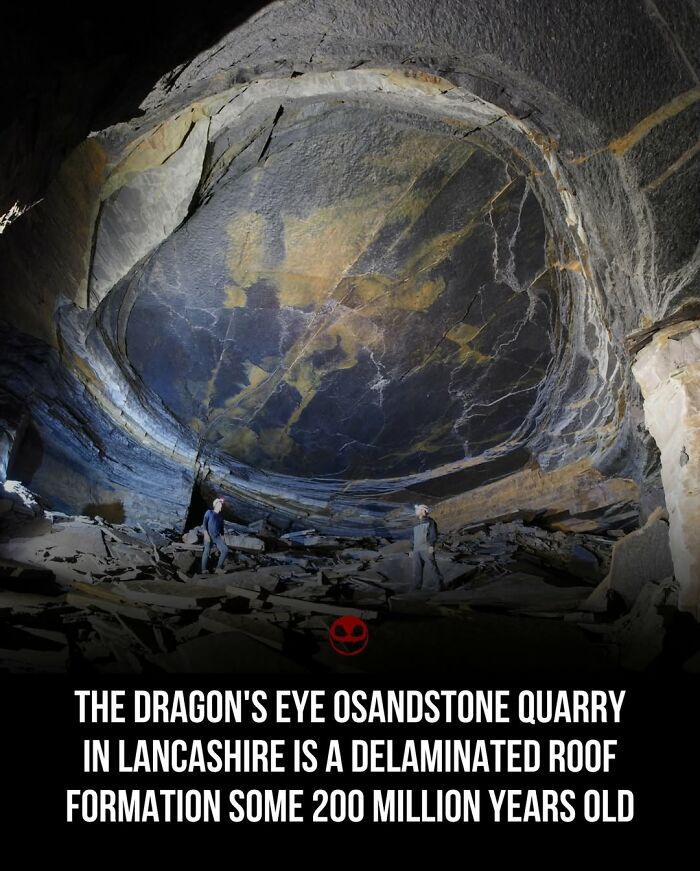 43 Weird And Odd Facts And Photos To Give Your Brain Something To Think About 43 Weird And Odd Facts And Photos To Give Your Brain Something To Think About