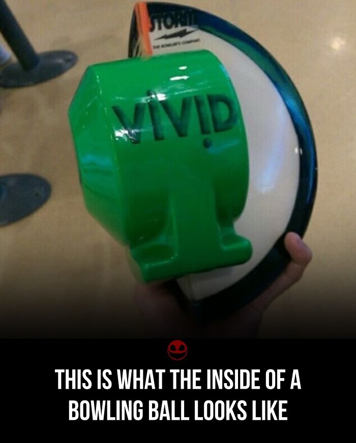 43 Weird And Odd Facts And Photos To Give Your Brain Something To Think About 43 Weird And Odd Facts And Photos To Give Your Brain Something To Think About