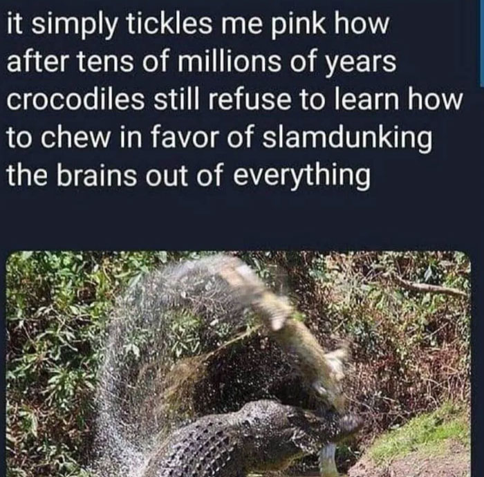 87 Funny And Lighthearted Memes For Those Who Like Safe-For-Work Stuff 87 Funny And Lighthearted Memes For Those Who Like Safe-For-Work Stuff