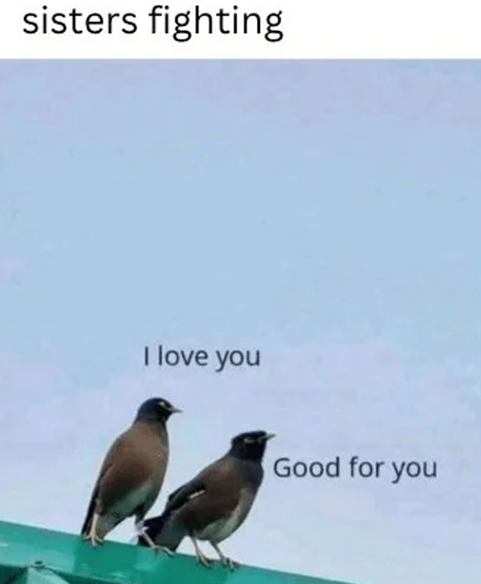 87 Funny And Lighthearted Memes For Those Who Like Safe-For-Work Stuff 87 Funny And Lighthearted Memes For Those Who Like Safe-For-Work Stuff