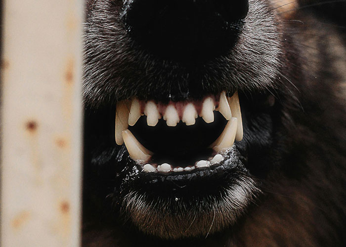 “This One Is Going To Be Hard To Believe”: 43 Things That Are A Lot More Dangerous Than They Seem “This One Is Going To Be Hard To Believe”: 43 Things That Are A Lot More Dangerous Than They Seem