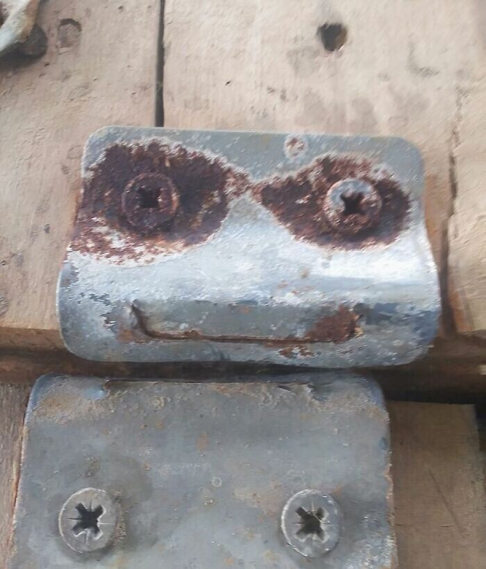 81 Times People Experienced Pareidolia And Took A Picture For Everyone To See (New Pics) 81 Times People Experienced Pareidolia And Took A Picture For Everyone To See (New Pics)