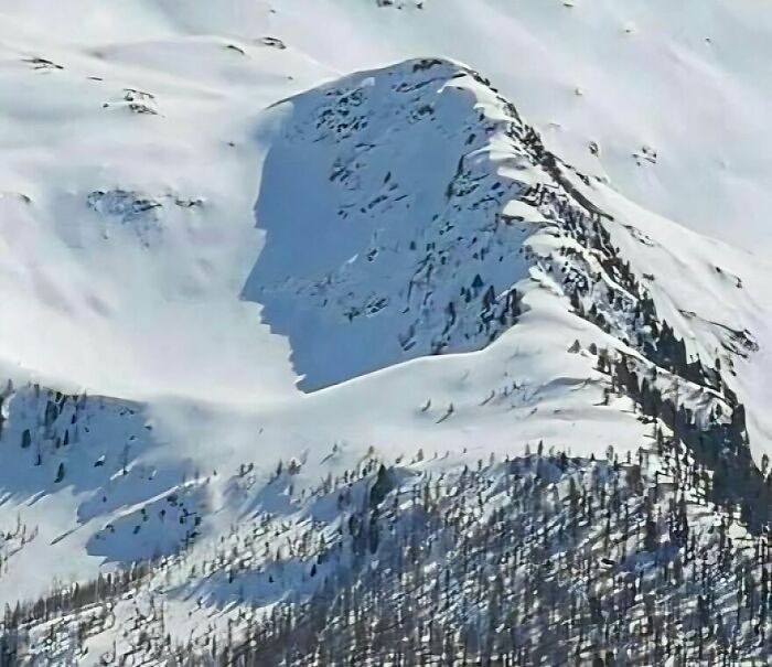 81 Times People Experienced Pareidolia And Took A Picture For Everyone To See (New Pics) 81 Times People Experienced Pareidolia And Took A Picture For Everyone To See (New Pics)