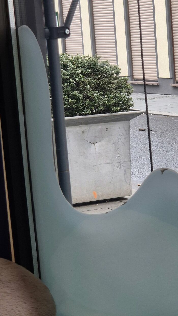 81 Times People Experienced Pareidolia And Took A Picture For Everyone To See (New Pics) 81 Times People Experienced Pareidolia And Took A Picture For Everyone To See (New Pics)