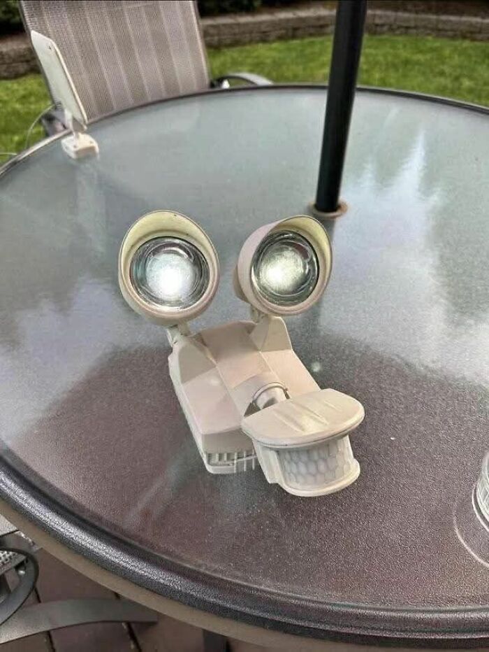 81 Times People Experienced Pareidolia And Took A Picture For Everyone To See (New Pics) 81 Times People Experienced Pareidolia And Took A Picture For Everyone To See (New Pics)