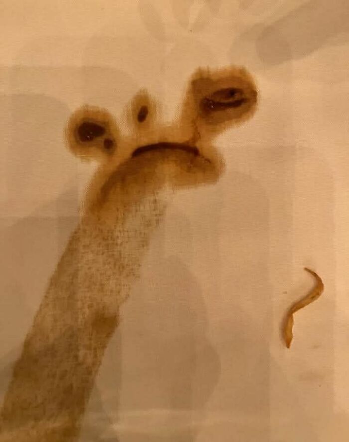 81 Times People Experienced Pareidolia And Took A Picture For Everyone To See (New Pics) 81 Times People Experienced Pareidolia And Took A Picture For Everyone To See (New Pics)