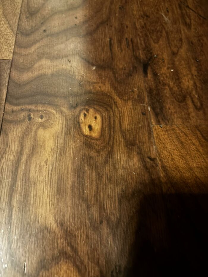 81 Times People Experienced Pareidolia And Took A Picture For Everyone To See (New Pics) 81 Times People Experienced Pareidolia And Took A Picture For Everyone To See (New Pics)