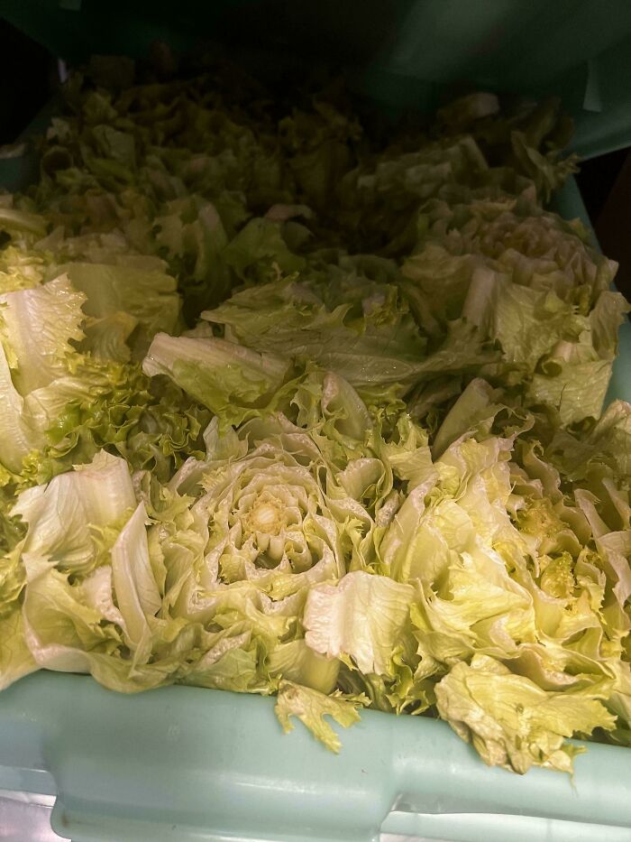 &ldquo;Kitchen Confidential&rdquo;: Restaurant Workers Reveal Industry Secrets And Jokes In 77 Posts (New Pics)