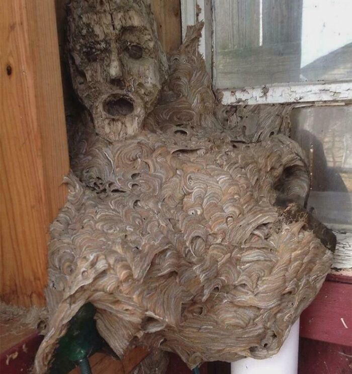 If You’re Feeling Like Getting The Heebie-Jeebies, Here Are 63 Creepy And Weird Photos To Do The Job If You’re Feeling Like Getting The Heebie-Jeebies, Here Are 63 Creepy And Weird Photos To Do The Job