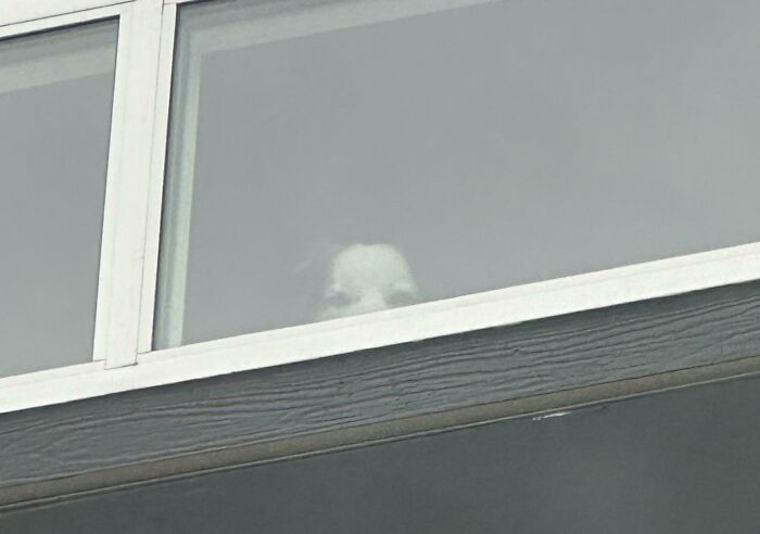 If You’re Feeling Like Getting The Heebie-Jeebies, Here Are 63 Creepy And Weird Photos To Do The Job If You’re Feeling Like Getting The Heebie-Jeebies, Here Are 63 Creepy And Weird Photos To Do The Job