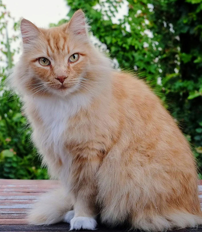 59 Of The Most Disrespectful Guests These People Had The “Pleasure” Of Hosting