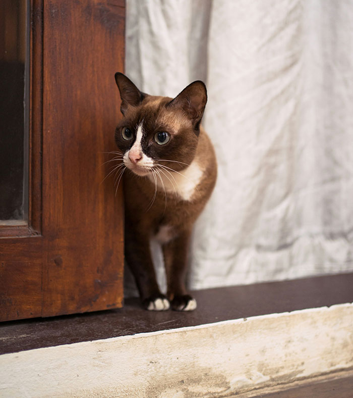 59 Of The Most Disrespectful Guests These People Had The “Pleasure” Of Hosting