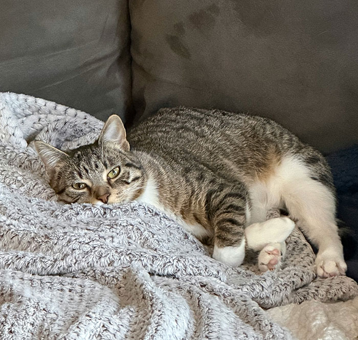 59 Of The Most Disrespectful Guests These People Had The “Pleasure” Of Hosting