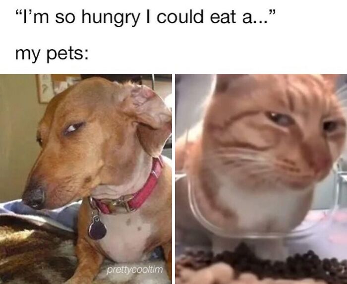39 New Memes To Lift Your Spirits, As Shared By This Instagram Page 39 New Memes To Lift Your Spirits, As Shared By This Instagram Page