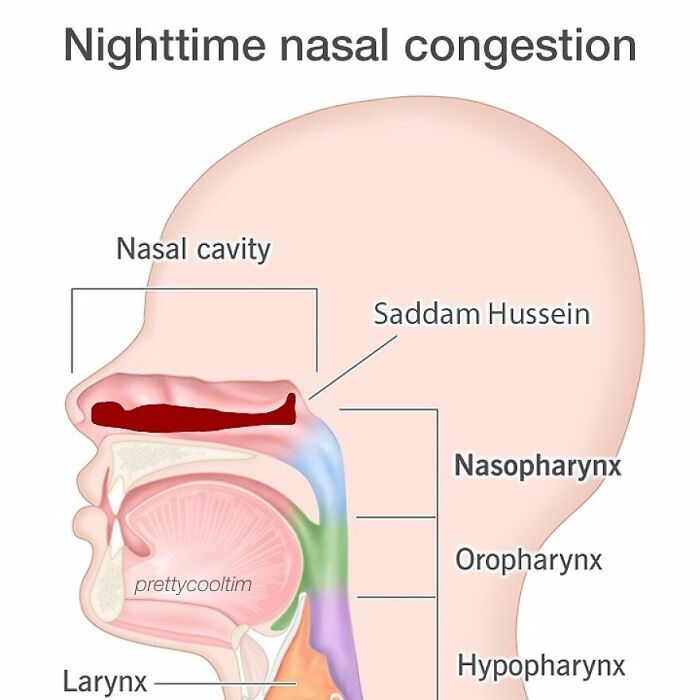 39 New Memes To Lift Your Spirits, As Shared By This Instagram Page 39 New Memes To Lift Your Spirits, As Shared By This Instagram Page