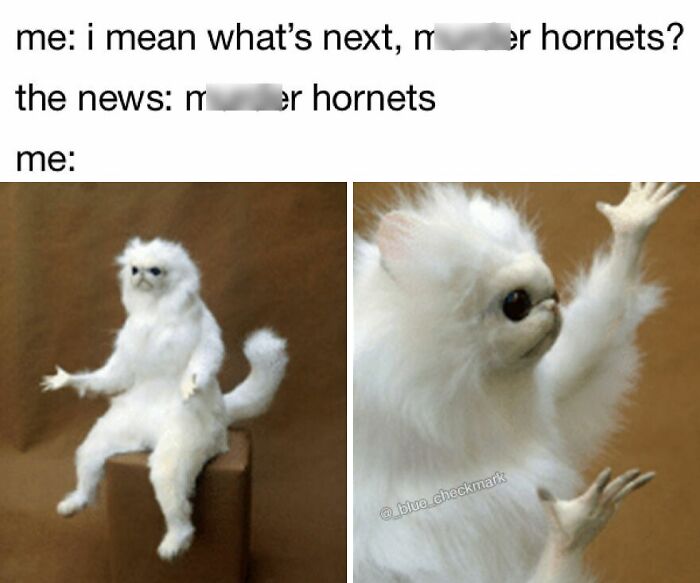 39 New Memes To Lift Your Spirits, As Shared By This Instagram Page 39 New Memes To Lift Your Spirits, As Shared By This Instagram Page