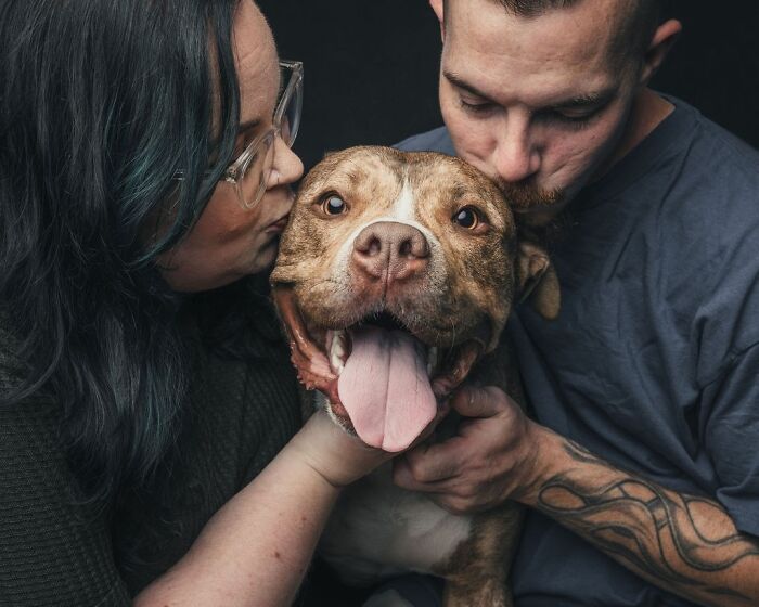 “Gotcha Day”: 38 Heartwarming Photos That Celebrate Rescue Dogs Finding Their Forever Homes “Gotcha Day”: 38 Heartwarming Photos That Celebrate Rescue Dogs Finding Their Forever Homes