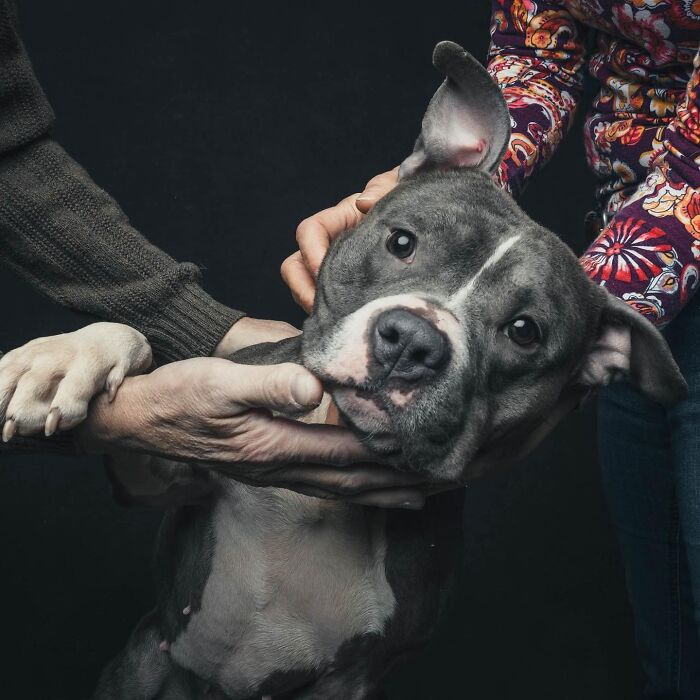 “Gotcha Day”: 38 Heartwarming Photos That Celebrate Rescue Dogs Finding Their Forever Homes “Gotcha Day”: 38 Heartwarming Photos That Celebrate Rescue Dogs Finding Their Forever Homes
