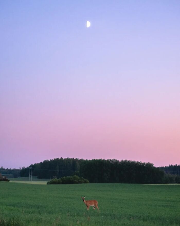 This Photographer Captured 43 Beautiful Views Of Finland Under The Northern Lights