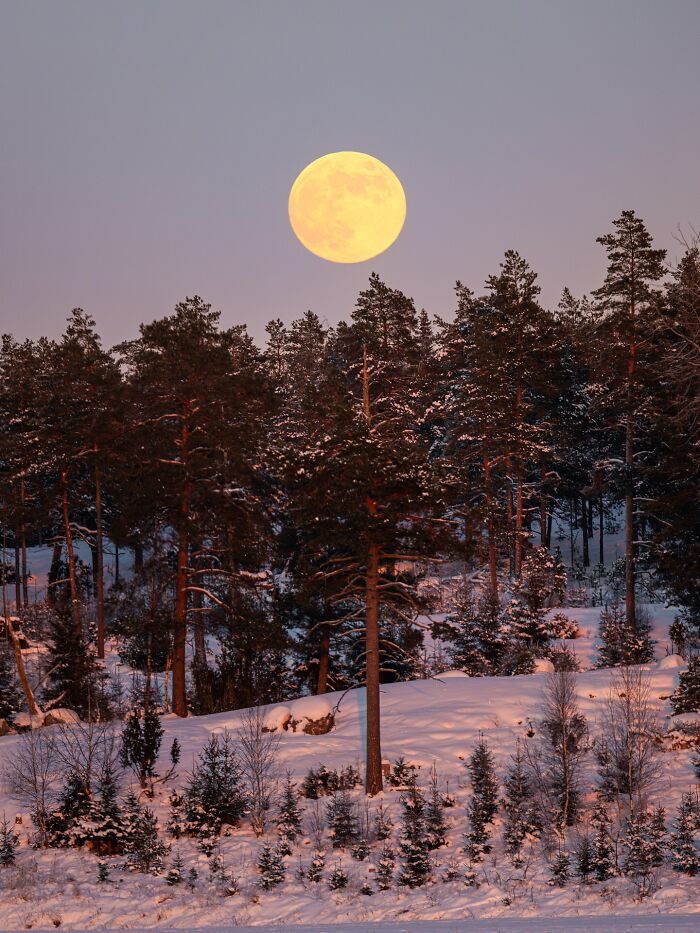 This Photographer Captured 43 Beautiful Views Of Finland Under The Northern Lights