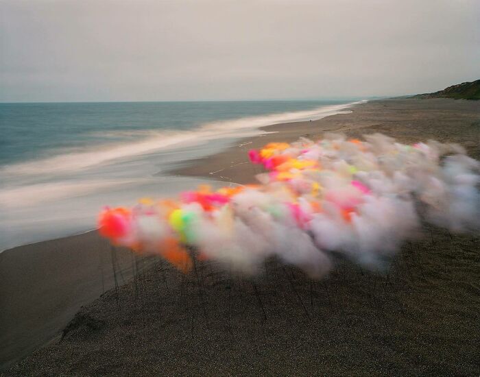 This Artist Places Unexpected Materials In Nature And The Results Are Stunning (40 Pics) This Artist Places Unexpected Materials In Nature And The Results Are Stunning (40 Pics)