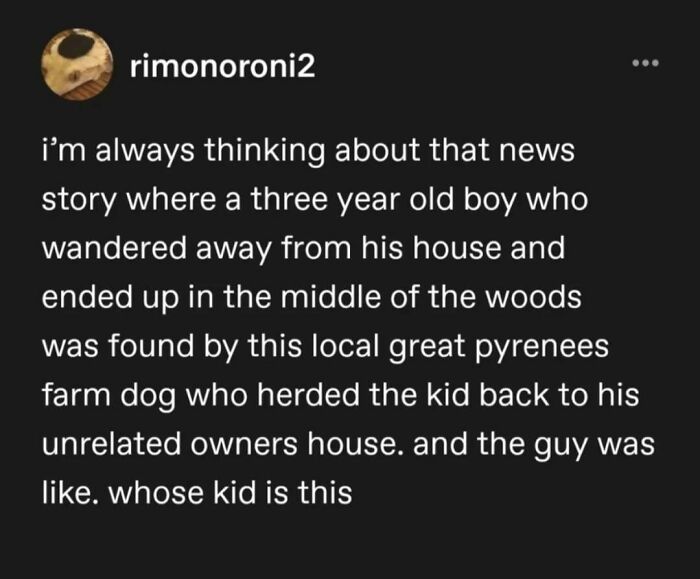 95 Of The Funniest Tumblr Posts That Totally Deserve To Be Seen Again