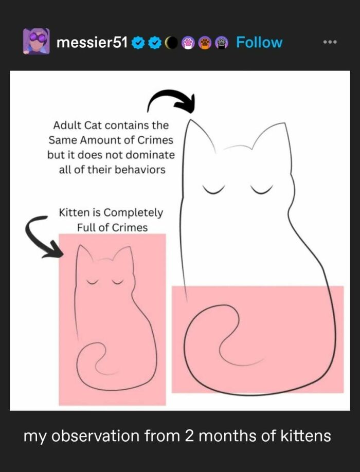 95 Of The Funniest Tumblr Posts That Totally Deserve To Be Seen Again