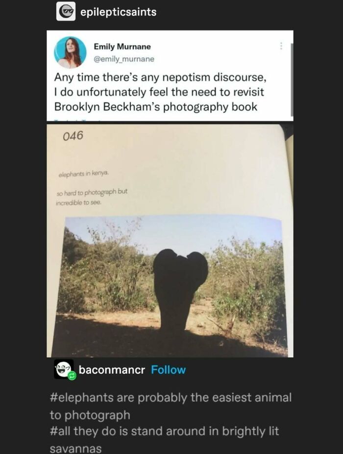 95 Of The Funniest Tumblr Posts That Totally Deserve To Be Seen Again