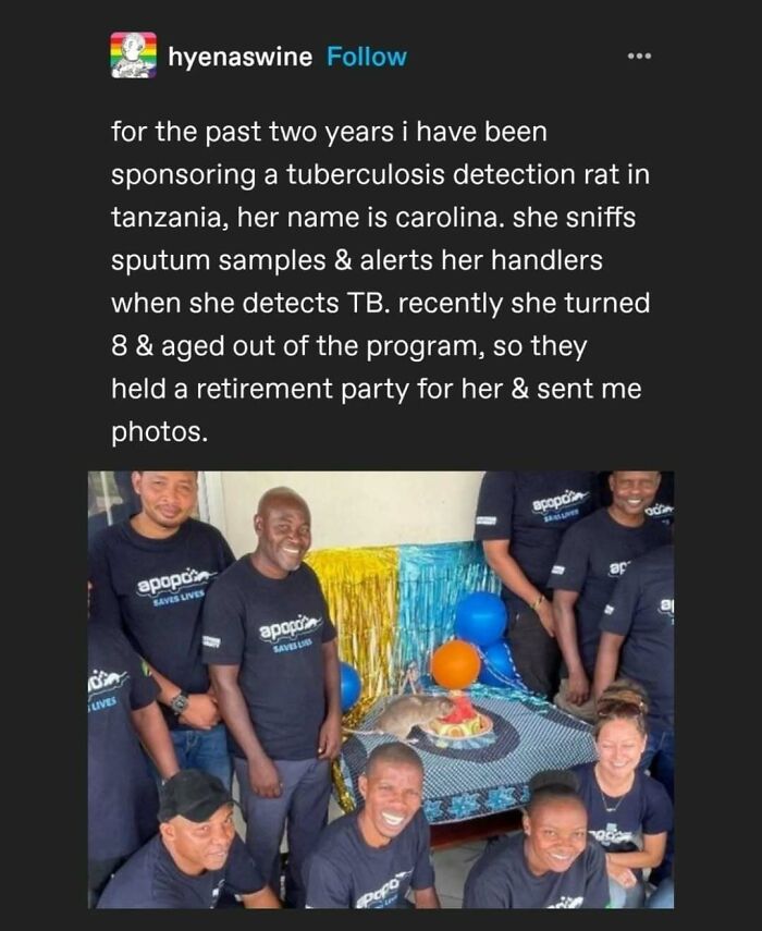 95 Of The Funniest Tumblr Posts That Totally Deserve To Be Seen Again