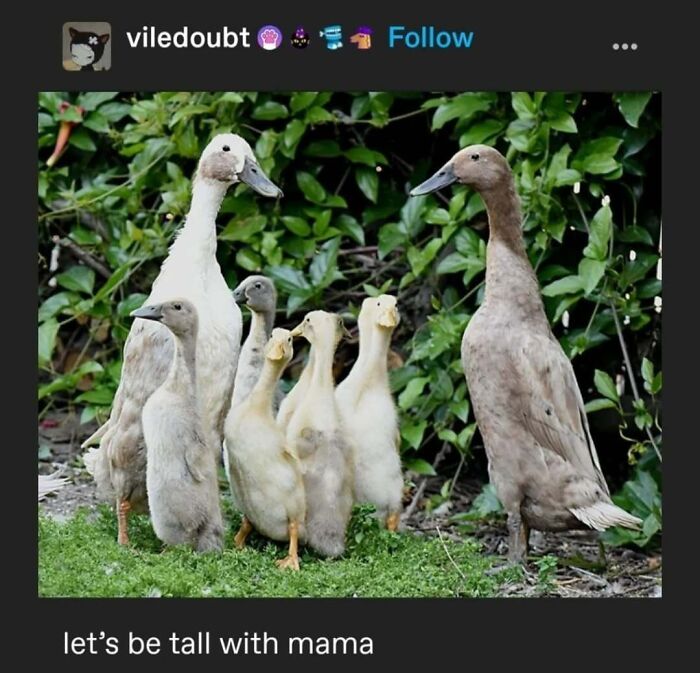 95 Of The Funniest Tumblr Posts That Totally Deserve To Be Seen Again