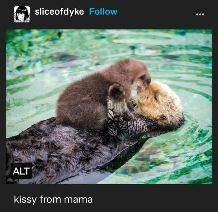 95 Of The Funniest Tumblr Posts That Totally Deserve To Be Seen Again