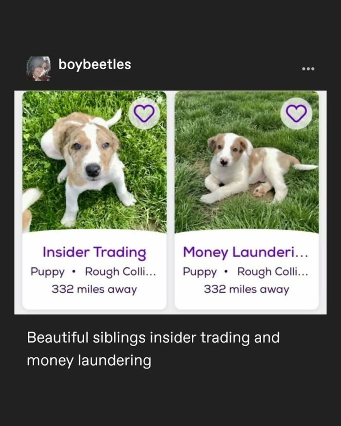 95 Of The Funniest Tumblr Posts That Totally Deserve To Be Seen Again