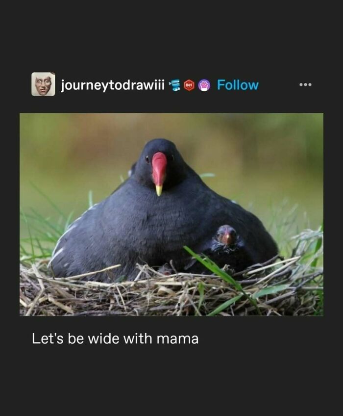 95 Of The Funniest Tumblr Posts That Totally Deserve To Be Seen Again