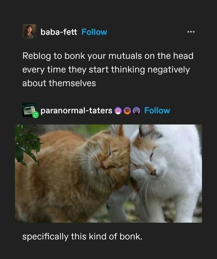 95 Of The Funniest Tumblr Posts That Totally Deserve To Be Seen Again