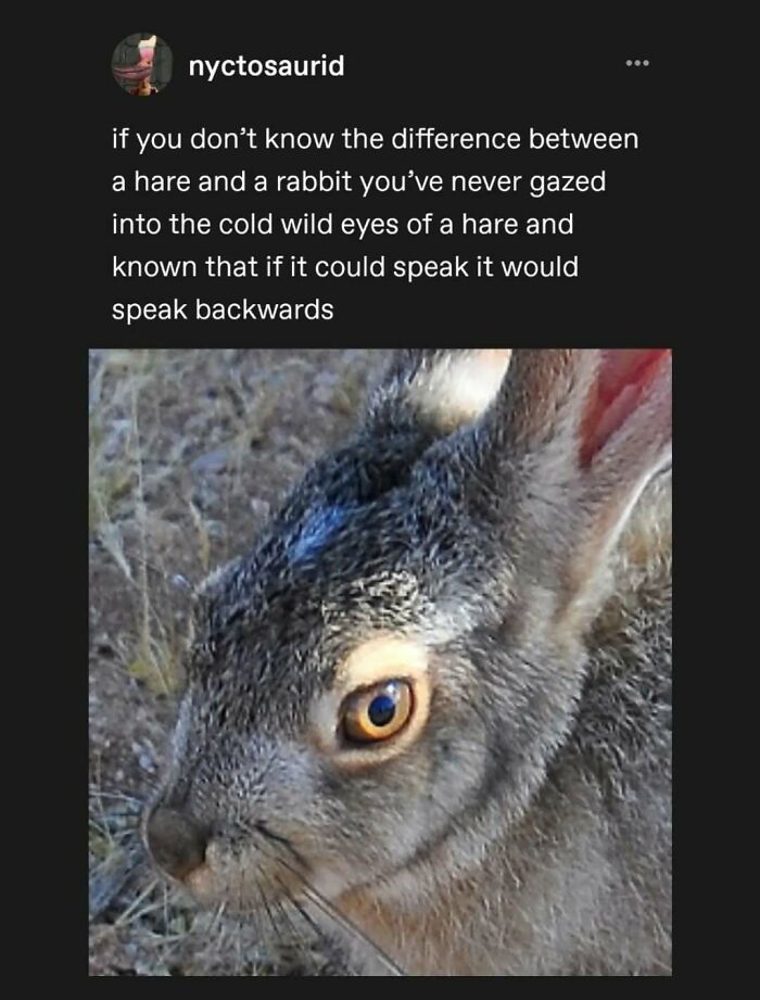 95 Of The Funniest Tumblr Posts That Totally Deserve To Be Seen Again