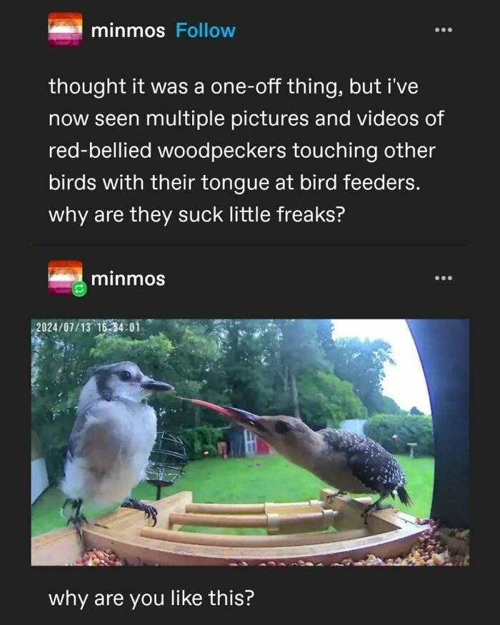 95 Of The Funniest Tumblr Posts That Totally Deserve To Be Seen Again