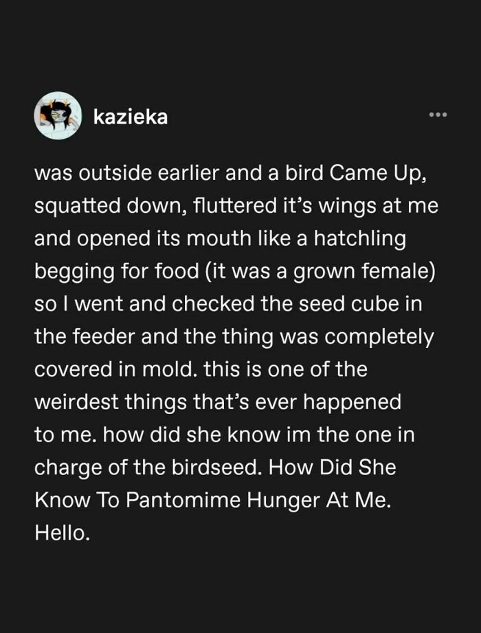 95 Of The Funniest Tumblr Posts That Totally Deserve To Be Seen Again