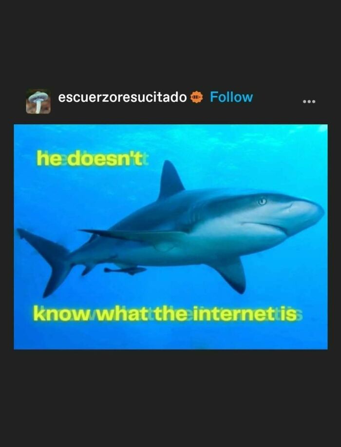 95 Of The Funniest Tumblr Posts That Totally Deserve To Be Seen Again