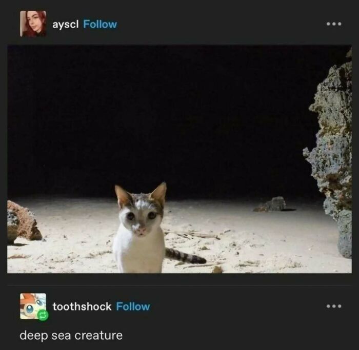 95 Of The Funniest Tumblr Posts That Totally Deserve To Be Seen Again