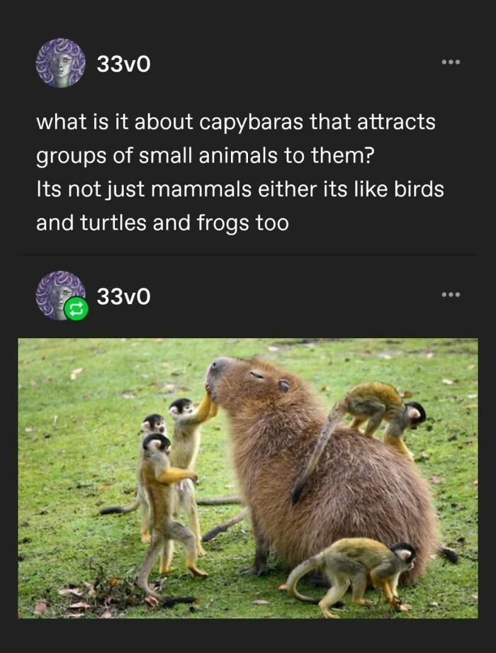 95 Of The Funniest Tumblr Posts That Totally Deserve To Be Seen Again