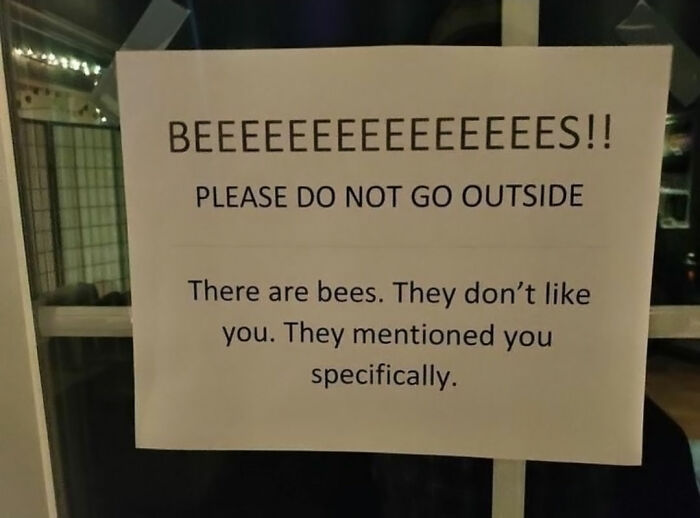 &ldquo;There Are Bees&rdquo;: 65 Signs That Are As Confusing As They Are Funny (New Pics)