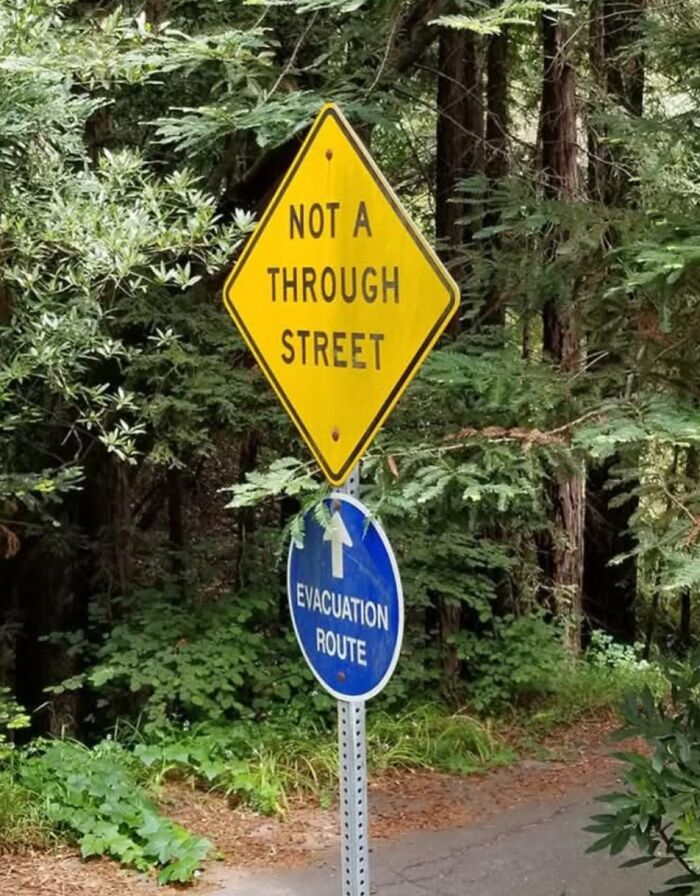&ldquo;There Are Bees&rdquo;: 65 Signs That Are As Confusing As They Are Funny (New Pics)