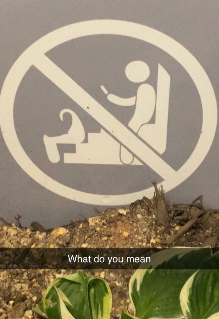 &ldquo;There Are Bees&rdquo;: 65 Signs That Are As Confusing As They Are Funny (New Pics)