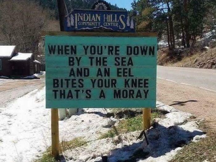 &ldquo;There Are Bees&rdquo;: 65 Signs That Are As Confusing As They Are Funny (New Pics)