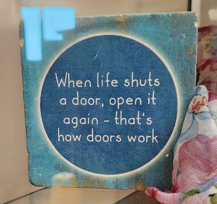 &ldquo;There Are Bees&rdquo;: 65 Signs That Are As Confusing As They Are Funny (New Pics)