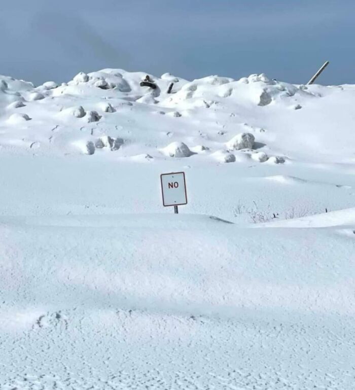 &ldquo;There Are Bees&rdquo;: 65 Signs That Are As Confusing As They Are Funny (New Pics)